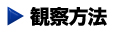 日食の観察方法